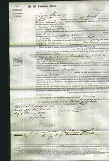 Court of Common Pleas - Frances Alder-Original Ancestry