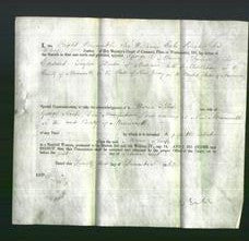 Appointment of Special Commissioners - George C Murray and Edward Taylor-Original Ancestry