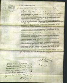 Court of Common Pleas - Martha Pateman-Original Ancestry