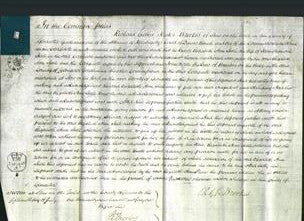 Court of Common Pleas - Elizabeth Ann Steele-Original Ancestry