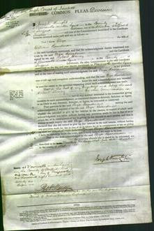 Court of Common Pleas - Eliza Boardman-Original Ancestry