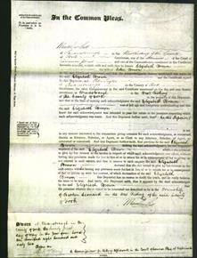 Court of Common Pleas - Elizabeth Brown-Original Ancestry