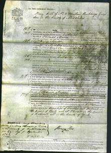 Court of Common Pleas - Catherine Mason-Original Ancestry