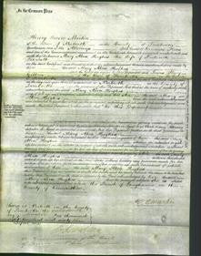 Court of Common Pleas - Mary Abra Hughes Wienholt-Original Ancestry
