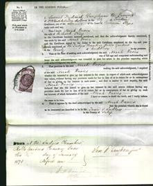 Court of Common Pleas - Norah Davies King-Original Ancestry