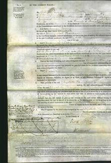 Court of Common Pleas - Elizabeth Thompson-Original Ancestry