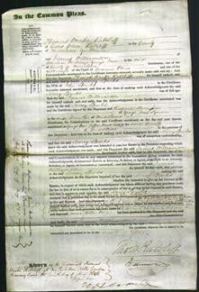 Court of Common Pleas - Mercy Sparks-Original Ancestry