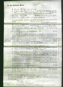 Court of Common Pleas - Charlotte Dorman-Original Ancestry