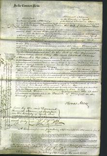 Court of Common Pleas - Hannah Dean-Original Ancestry