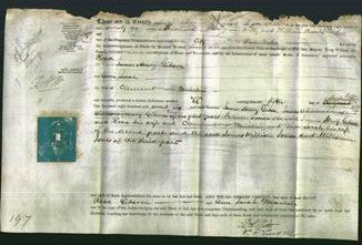 Deed by Married Women - Rosa Gibson and Ann Sarah Minchin-Original Ancestry