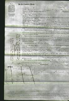 Court of Common Pleas - Esther Moss-Original Ancestry