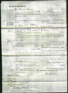 Court of Common Pleas - Ann Rowley-Original Ancestry