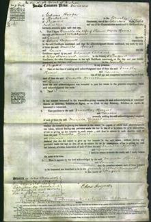 Court of Common Pleas - Drucella Wyres, Harriet Whitehouse and Louisa Capewell-Original Ancestry