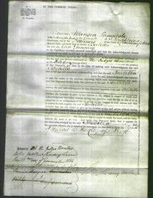 Court of Common Pleas - Isabella Gunning-Original Ancestry