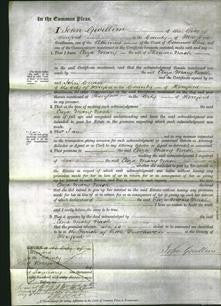 Court of Common Pleas - Eliza Mary Nash-Original Ancestry