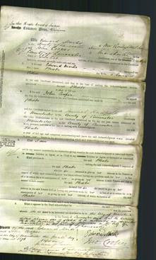 Court of Common Pleas - Phoebe Cohen-Original Ancestry