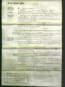 Court of Common Pleas - Susanna Stroudley and Eliza Butcher-Original Ancestry