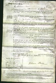 Court of Common Pleas - Susan Courti-Original Ancestry