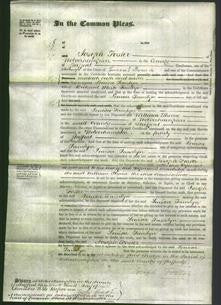 Court of Common Pleas - Louisa Tamlyn-Original Ancestry