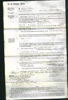 Court of Common Pleas - Isabella Frances Wood-Original Ancestry