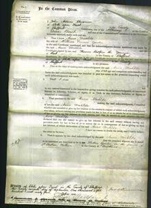 Court of Common Pleas - Anna Matilda Gordon-Original Ancestry