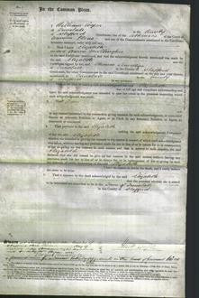 Court of Common Pleas - Elizabeth Millington-Original Ancestry