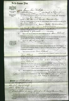 Court of Common Pleas document - Jane Riland Trye-Original Ancestry