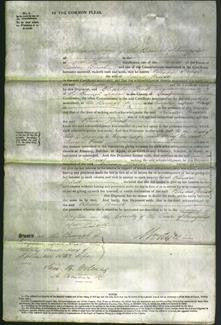 Court of Common Pleas - Rhoda Priest-Original Ancestry