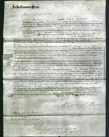 Court of Common Pleas - Mary Sophia Bonsey-Original Ancestry