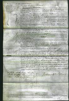 Court of Common Pleas - The Honorable Julia Hobart-Original Ancestry