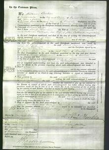 Court of Common Pleas - Sarah Lawrence and Catherine Callreath-Original Ancestry