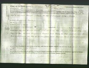 Deed by Married Women - Sarah Morris, Phoebe Coley, Mary Martin and Emma Wilde-Original Ancestry