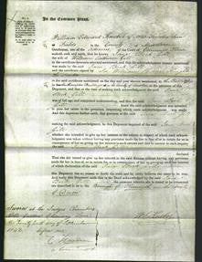 Court of Common Pleas - Jane Beck Gill-Original Ancestry