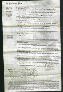 Court of Common Pleas - Isabella Frances Wood-Original Ancestry