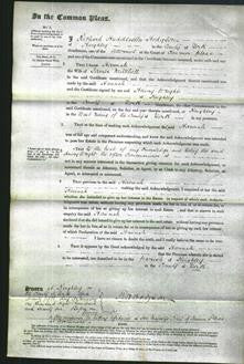 Court of Common Pleas - Hannah Mitchell-Original Ancestry