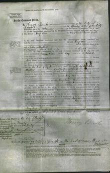 Court of Common Pleas - Mary Ann Sands-Original Ancestry