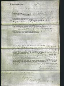 Court of Common Pleas - Elizabeth Godwin Walkden-Original Ancestry