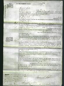 Court of Common Pleas - Mary Goodburn, Elizabeth Nixon-Original Ancestry