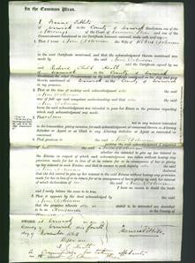 Court of Common Pleas - Ann Doleman-Original Ancestry