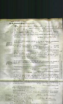 Court of Common Pleas - Jane Webster-Original Ancestry