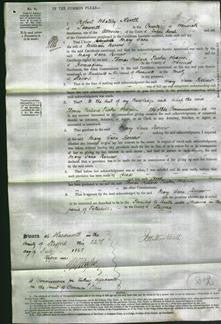 Court of Common Pleas - Mary Jane Berrow-Original Ancestry