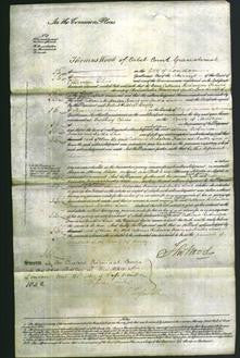 Court of Common Pleas - Catherine Richardson Francis and Martha Lowe-Original Ancestry