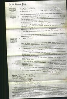 Court of Common Pleas - Isabella Frances Wood-Original Ancestry