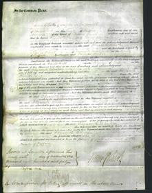 Court of Common Pleas - Elizabeth Blurton-Original Ancestry