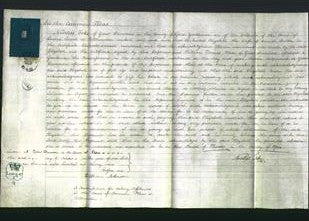 Court of Common Pleas - Elizabeth Britton-Original Ancestry