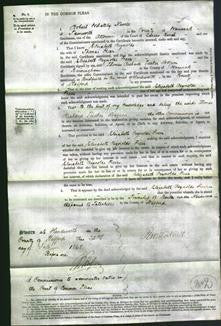 Court of Common Pleas - Elizabeth Reynolds Freer and Mary Jane Berrow-Original Ancestry