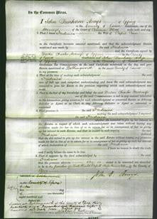 Court of Common Pleas - Frederica Cure-Original Ancestry