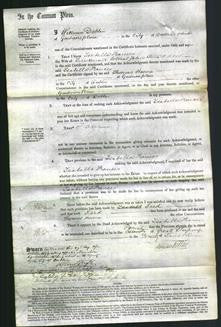 Court of Common Pleas - Isabella Frances Wood-Original Ancestry