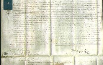 Court of Common Pleas - Elizabeth Ann Flexman-Original Ancestry