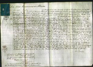 Court of Common Pleas - Mary Jermyn Parkin Toyne-Original Ancestry